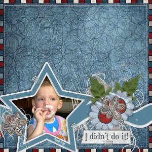 I Didn't Do It