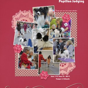 Scenes from a Dog Show