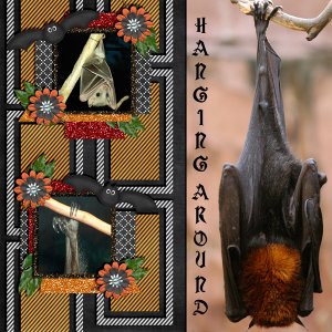 Just Hanging Around