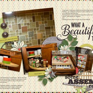 Kitchen Re-model