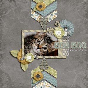 boo boo kitty