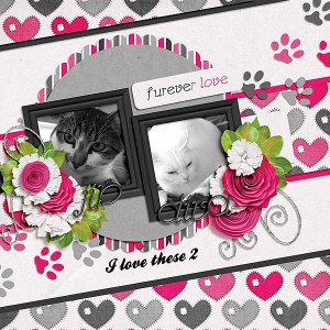 Furever Love