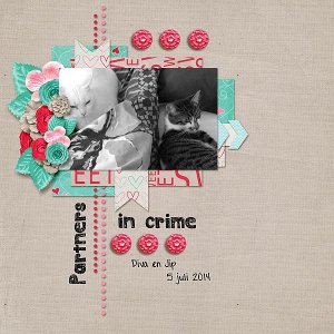 Partners In Crime