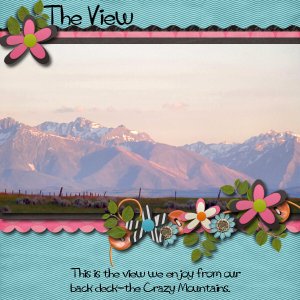 The View