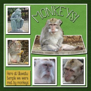Hey Hey Look At The Monkees
