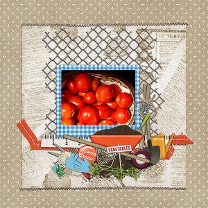 Homegrown Tomatoes - Yum!