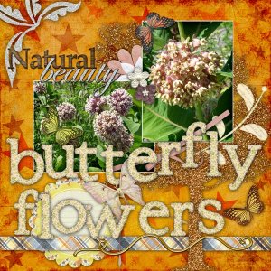 Butterfly Flowers