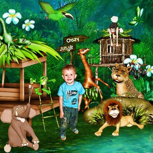 crazy-jungle_ks