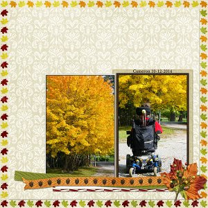 Cam Fall 10-12-2014