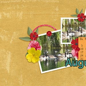 Helene_AugustDesktop