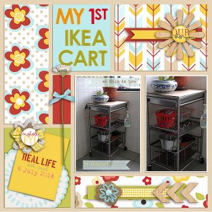 My 1st IKEA Cart