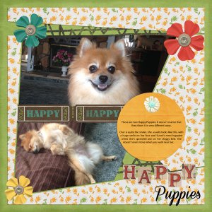 Happy Puppies