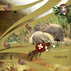Elephants