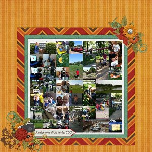 Randomness of Life in May