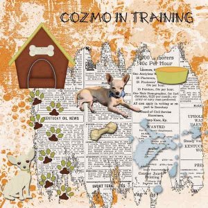 Cozmo