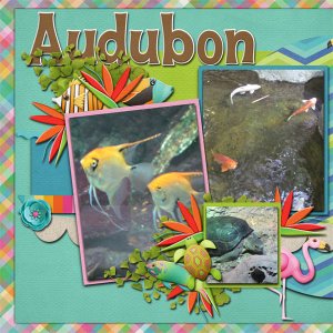 Zoo_2013_TropicalAloha_cmg_mhd_HH_templateL