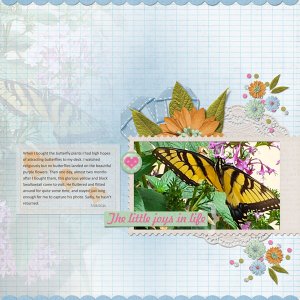 The Butterfly