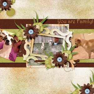 You are Family
