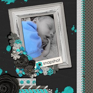 Snapshot