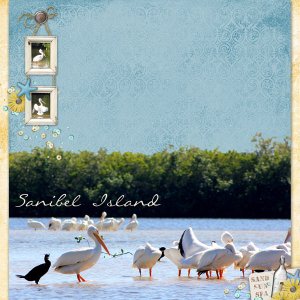 Sanibel Island p1