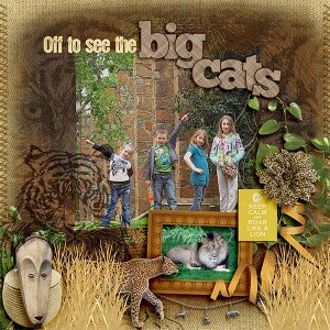 Big Cats