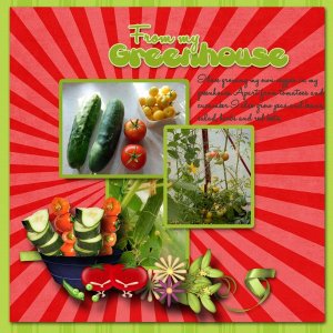 From_my_greenhouse