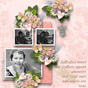 BD-ButterfliesandFeathers