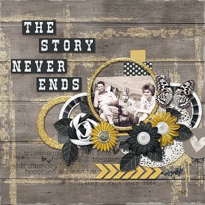 The Story Never Ends