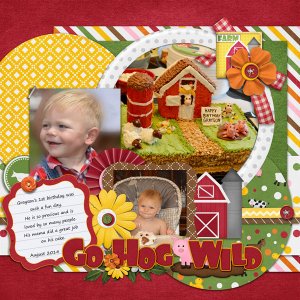 grayson1stbday_altimasport