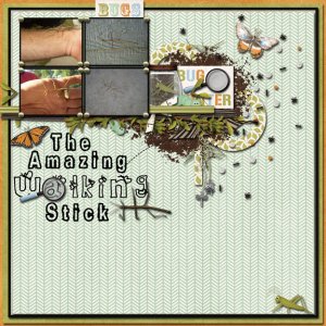 The Amazing Walking Stick
