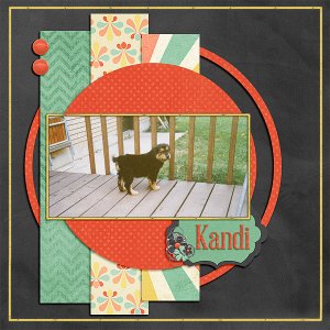 Kandi