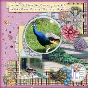 Peacock Beauty