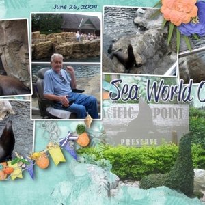 Seaworld Seals