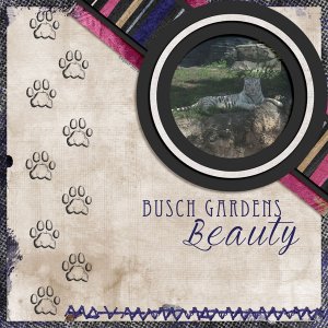 Busch-Gardens-Beauty-web