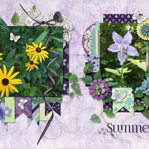Summertime Blooms