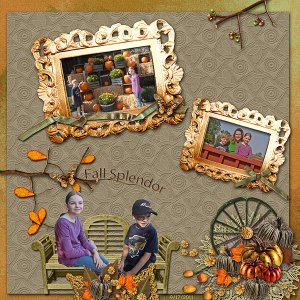 Fall Splendor