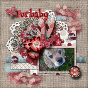 Fur_baby1