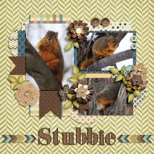stubbie
