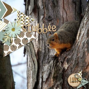 stubbie2