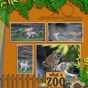Tigers- Busch Gardens-R