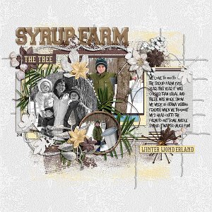 Syrup Farm