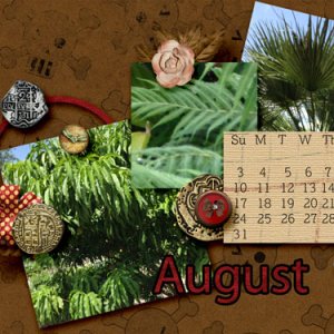 August 2014 Desktop