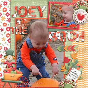 Joey at the Patch