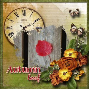 Autumn_leaf