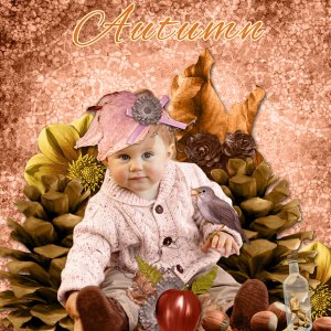 Fall Wishes