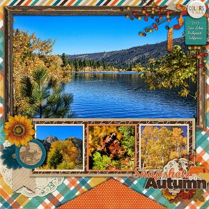 Snapshots of Autum