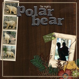 POLAR BEAR