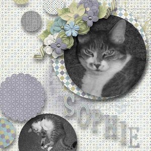 BD-MissSophie