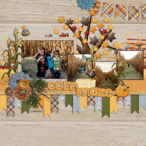 corn maze