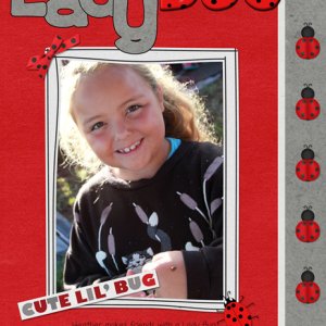 Lady Bug